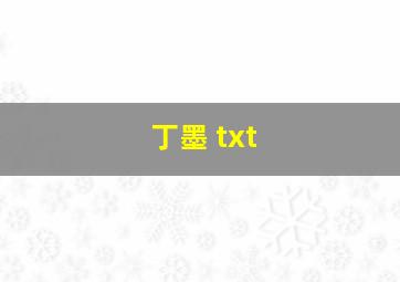 丁墨 txt